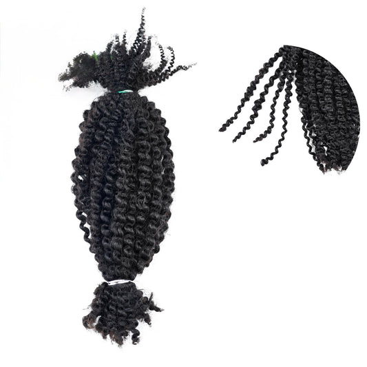 Braiding Hair Humain Vierges - Texture 4B/C